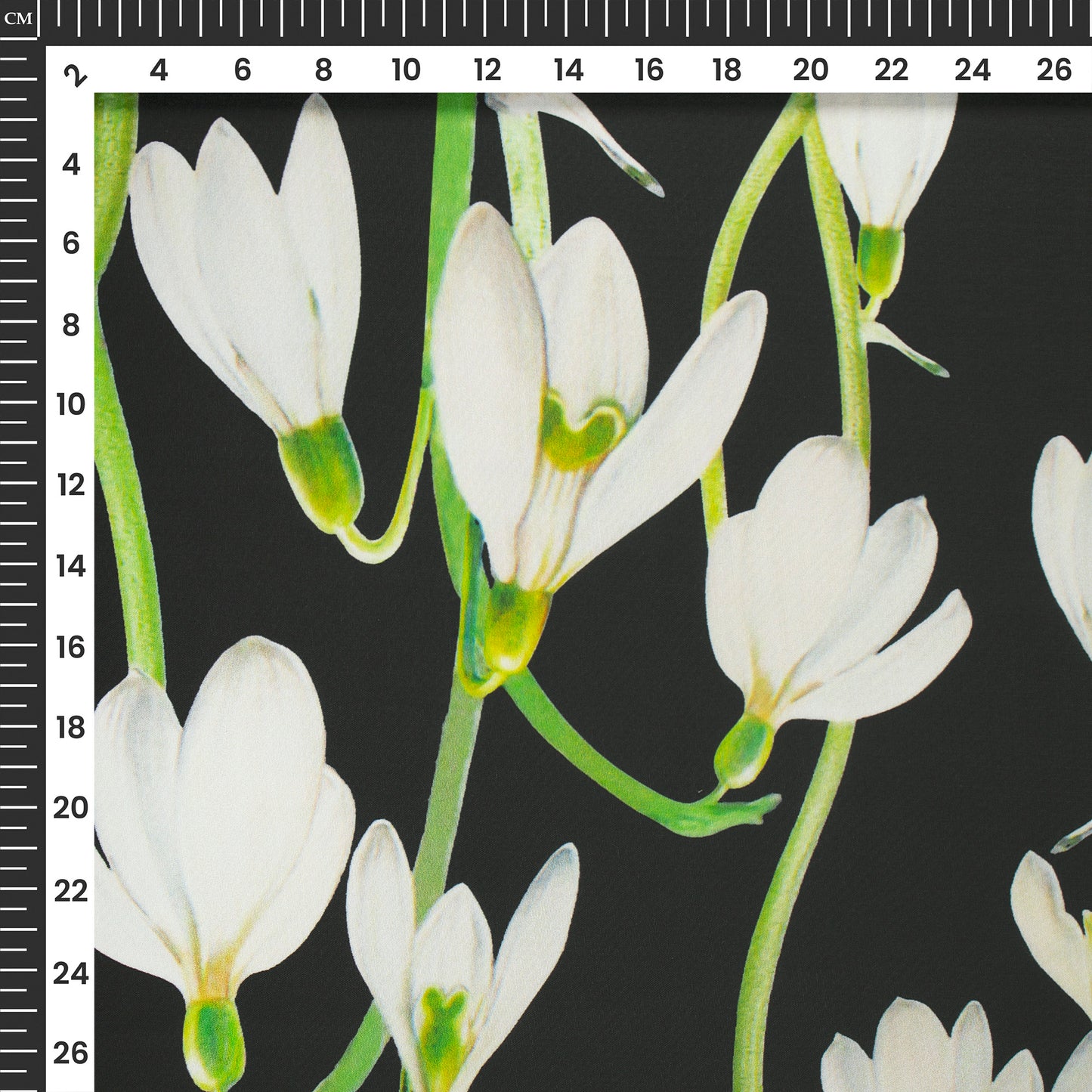 Newly Cream Floral on Black Digital Print Muslin Fabric