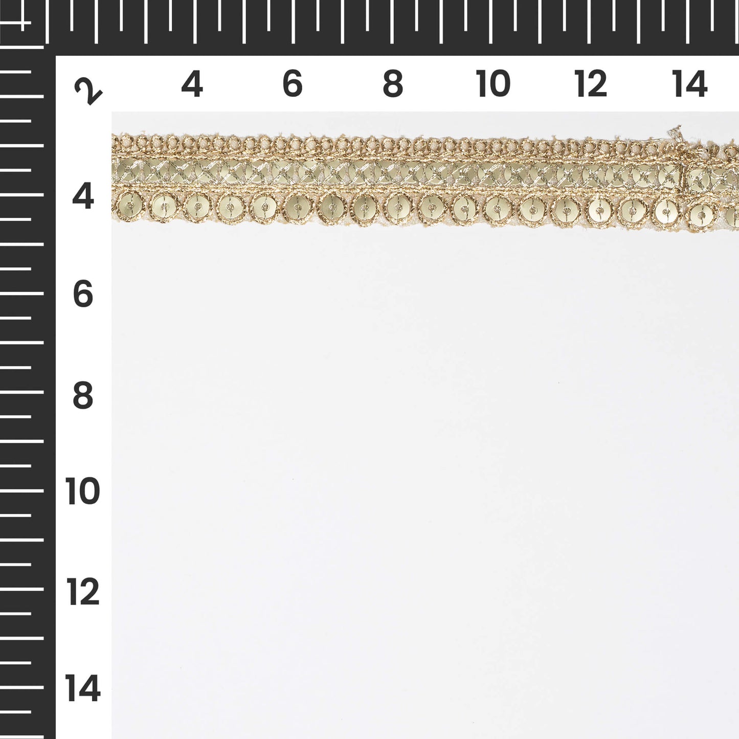 Double Sequins Infused in Fancy Look Lace (9 Mtr)
