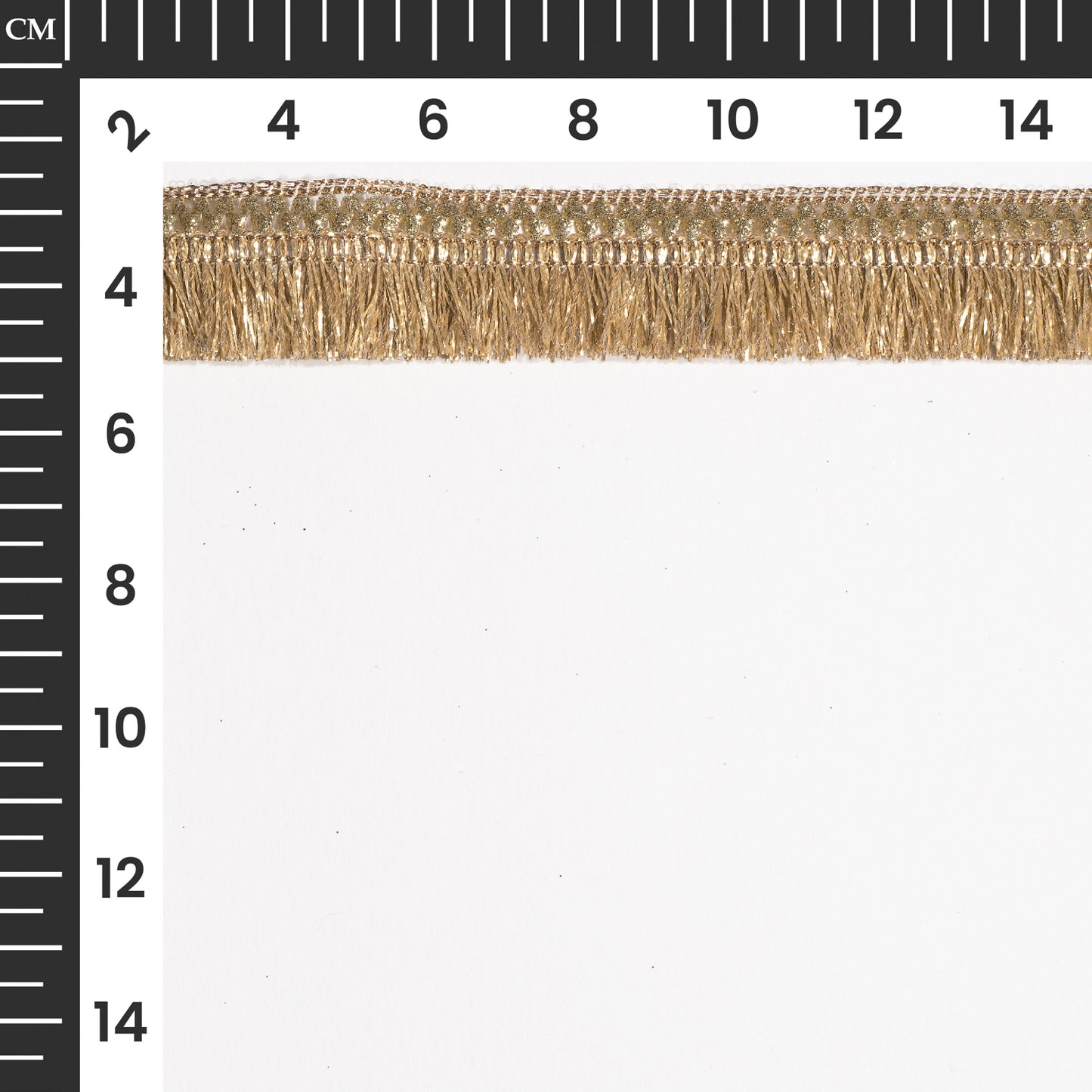 Shimmering Gota Threads and Fringe Fusion Lace (18 Mtr)