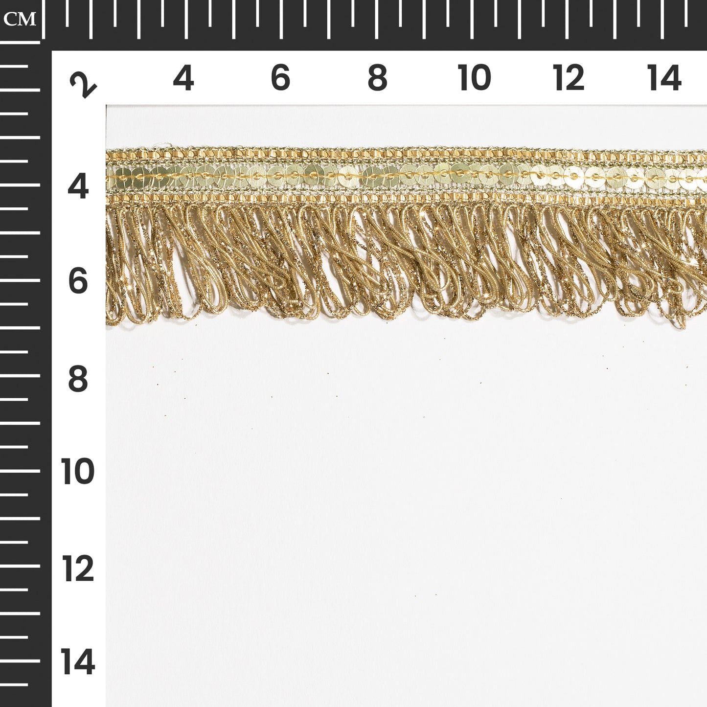Glittering Sequins Threads and Fringe Fusion Lace (9 Mtr)
