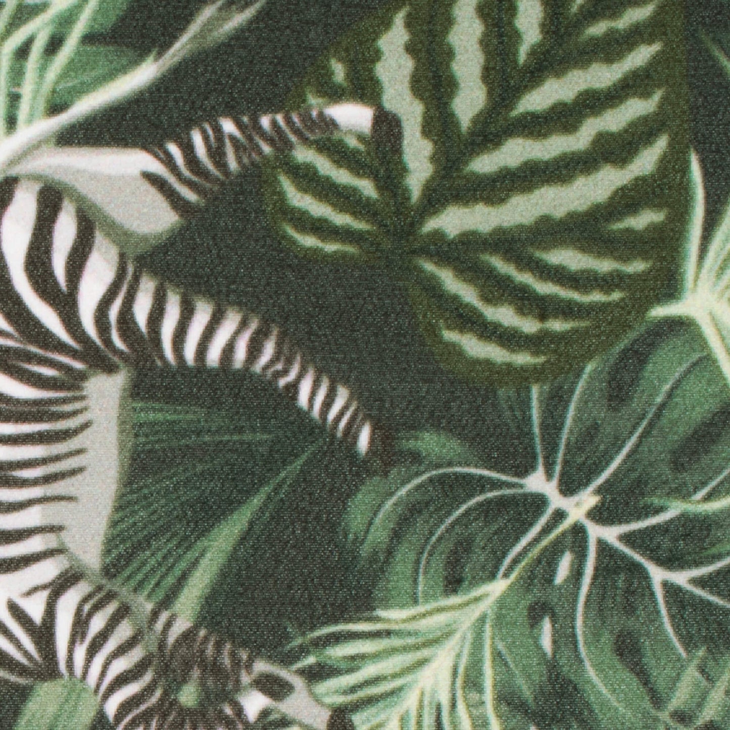 Black And Green Tropical Pattern Digital Print Georgette Fabric