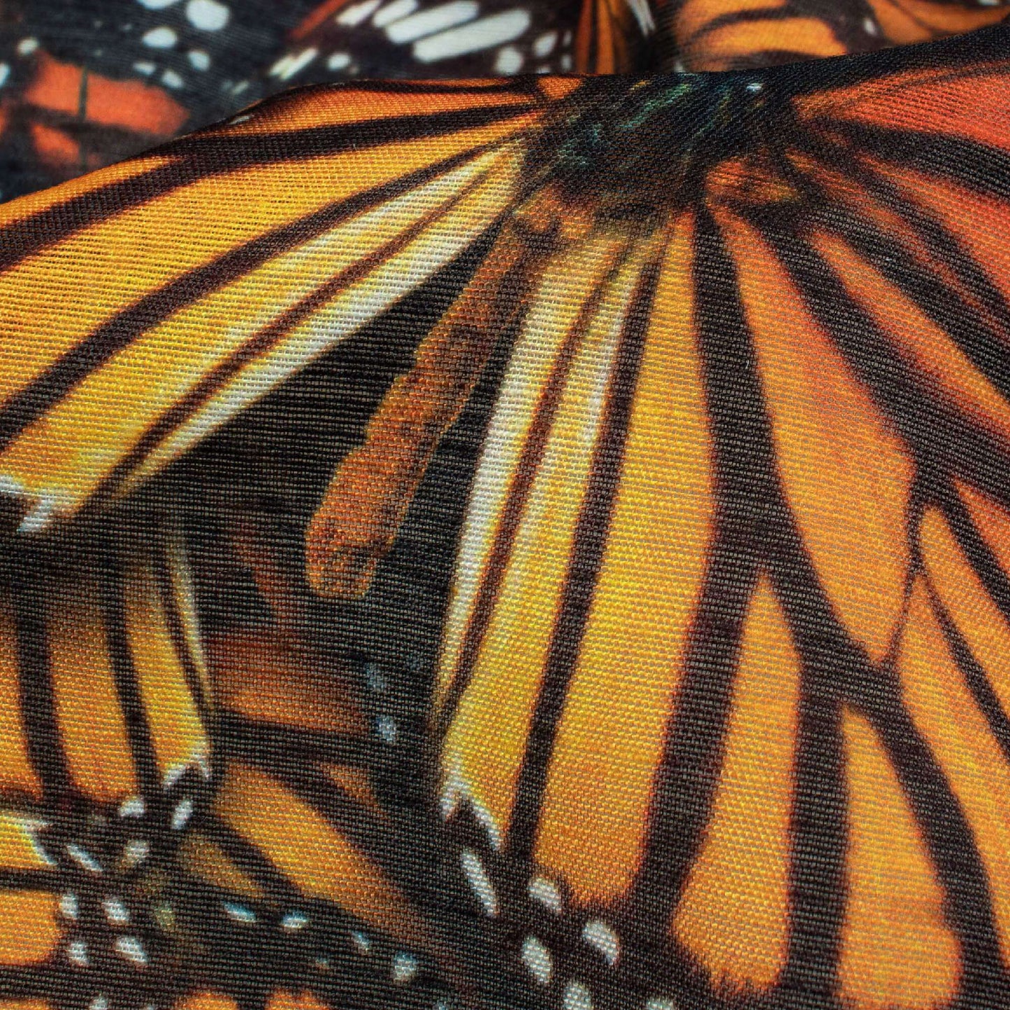 Black And Salamander Orange Butterfly Pattern Digital Print Chanderi Fabric - Fabcurate