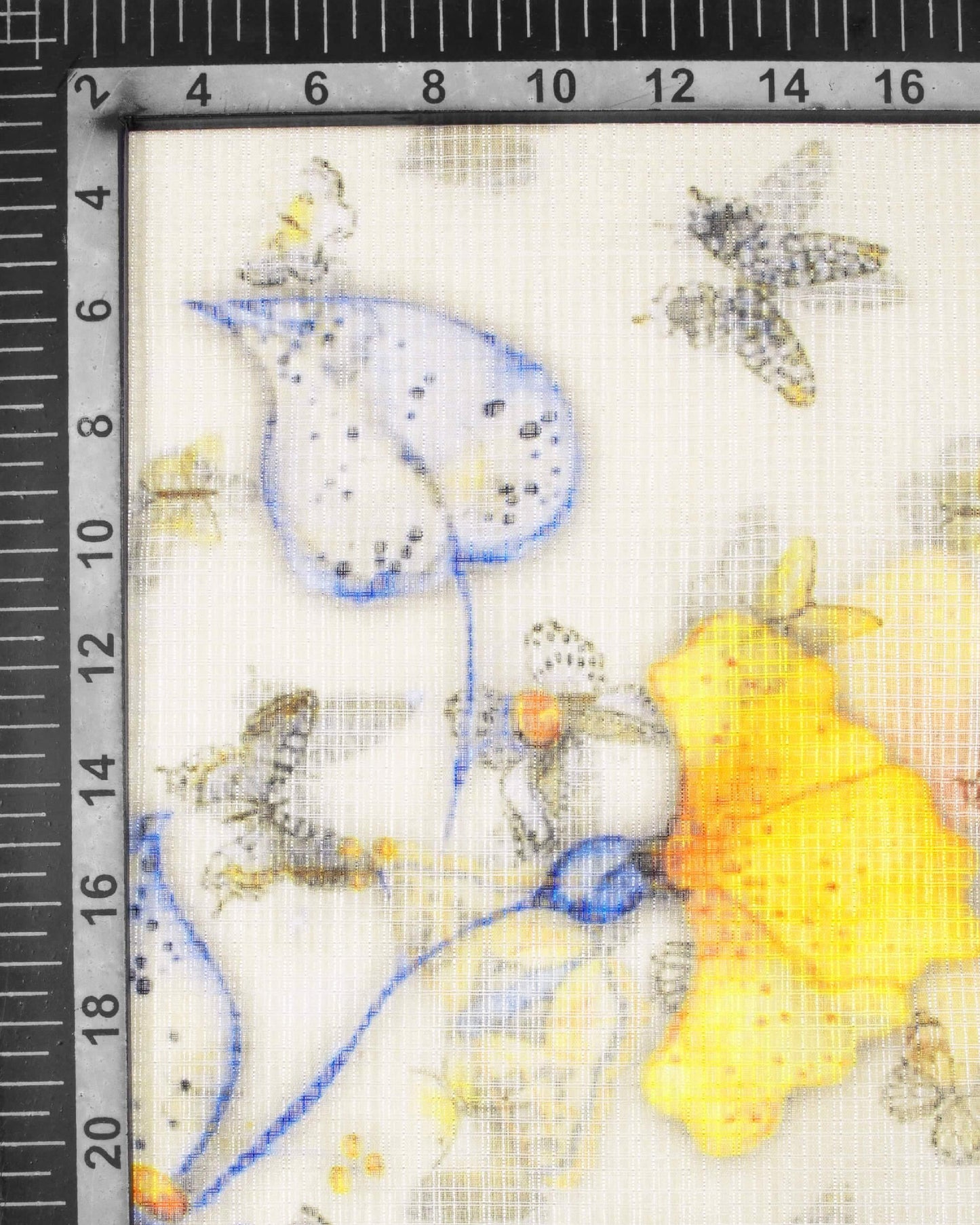 Ivory Cream And Yale Blue Butterfly Pattern Digital Print Kota Doria Dupatta With Tassels - Fabcurate