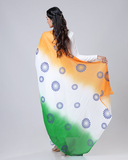 Pride of India Tricolor Shine Dupatta