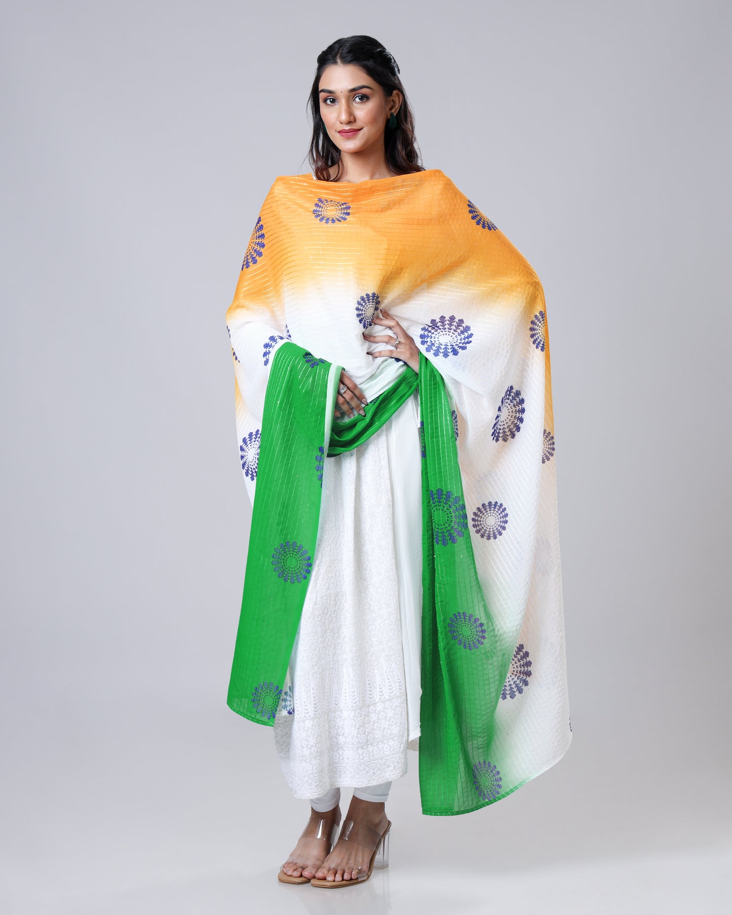 Pride of India Tricolor Shine Dupatta