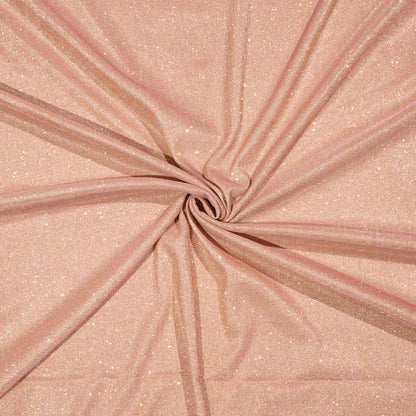 Exclusive salmon Orange Silver Zari Work On Imported Fabric