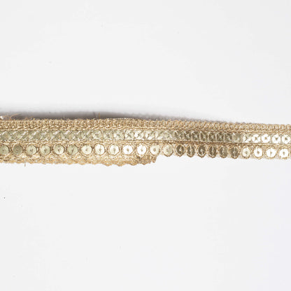 Double Sequins Infused in Fancy Look Lace (9 Mtr)