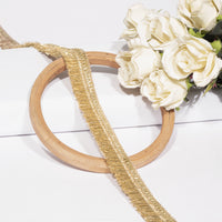 Shimmering Gota Threads and Fringe Fusion Lace (18 Mtr)