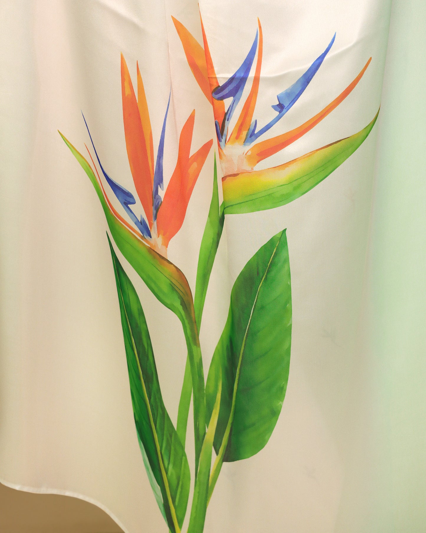 Naritva Shakti - Celebrate The Strength Of Every Woman With Tri Color Saree