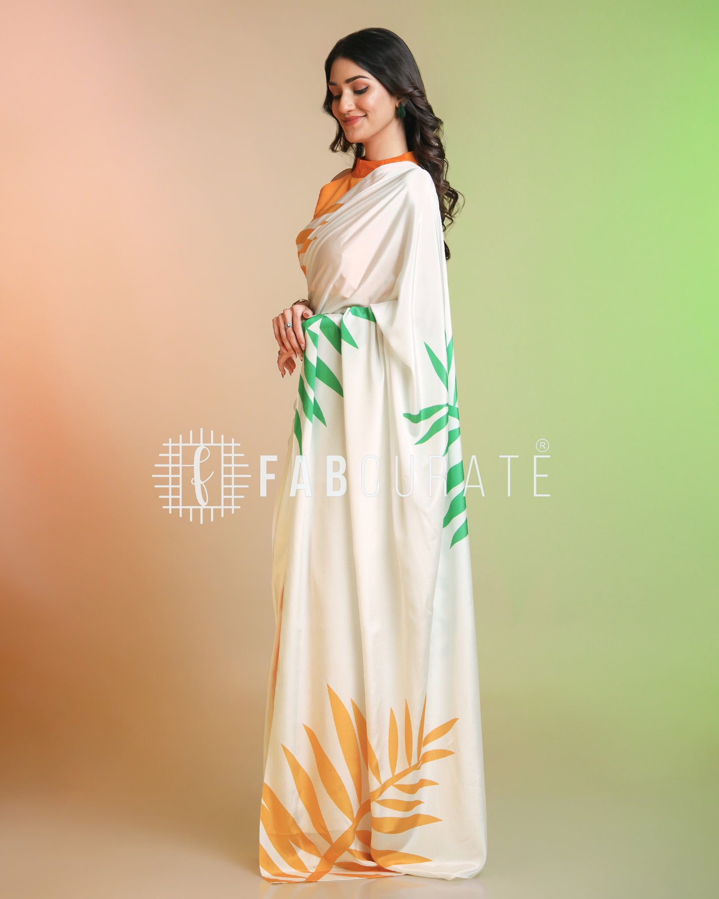 Desh Ki Shaan Tri-Color Saree - Republic Day Special Wear
