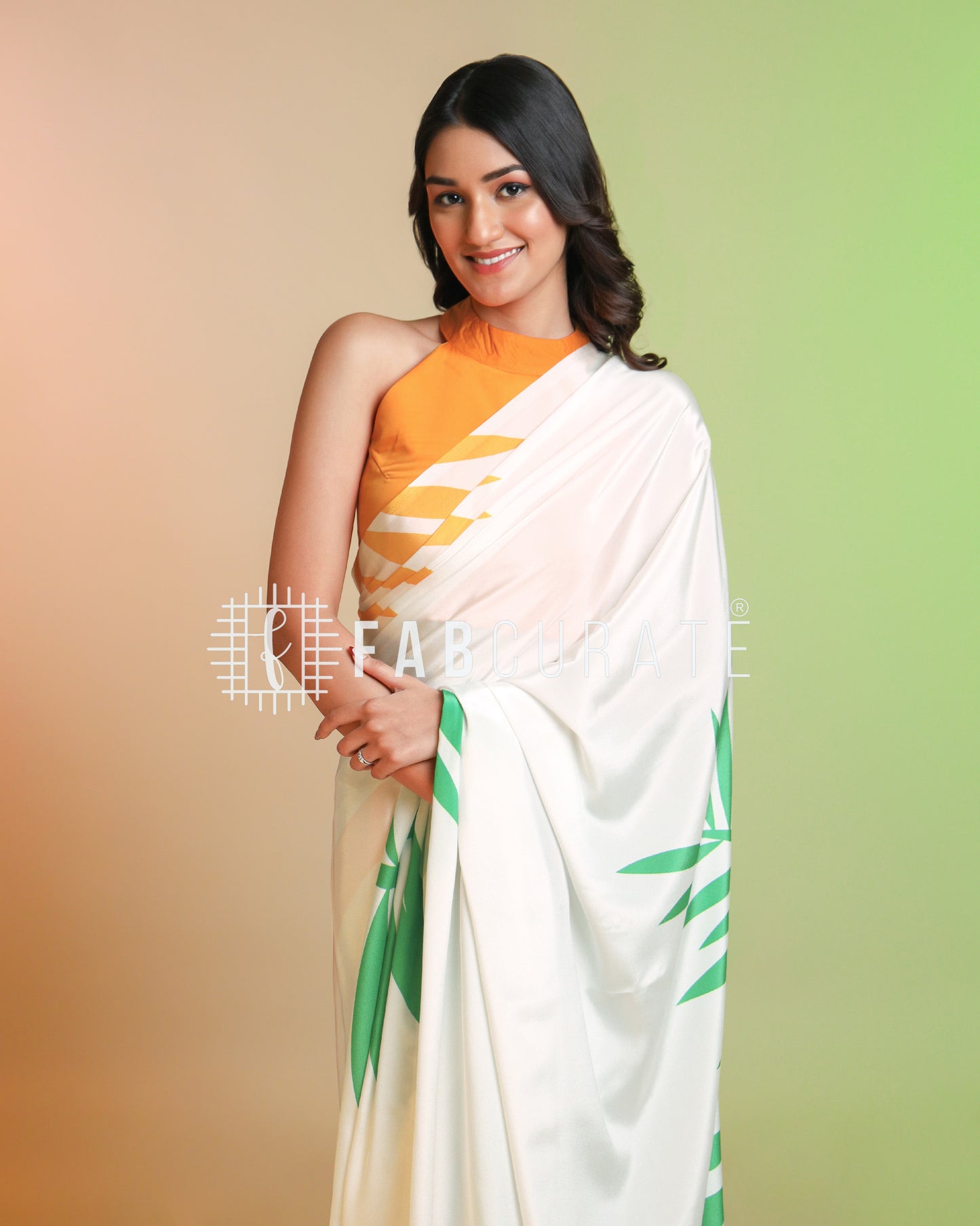 Desh Ki Shaan Tri-Color Saree - Republic Day Special Wear