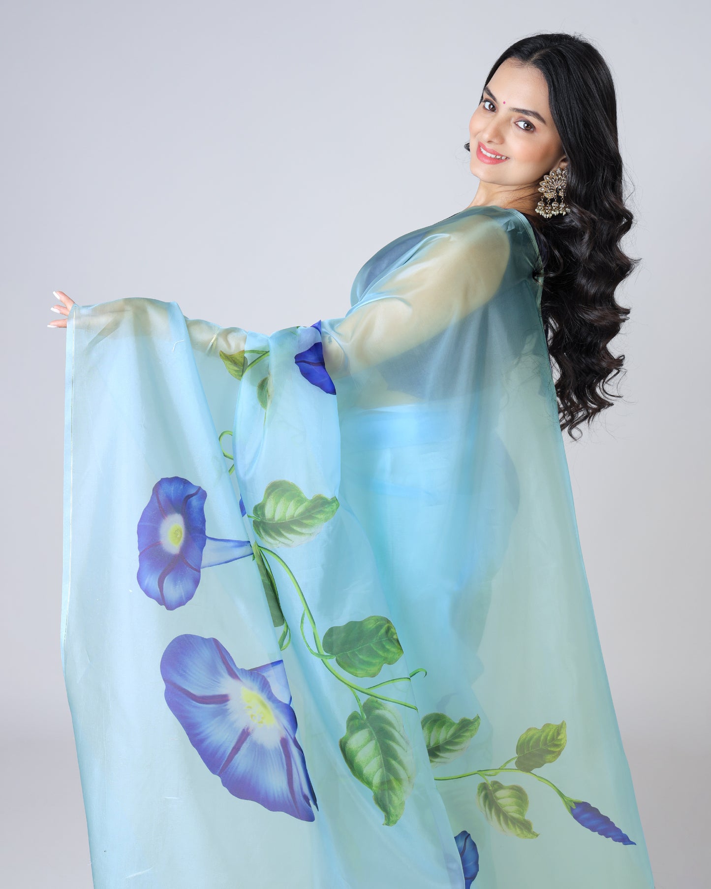 Garden of Dreams Lightweight Organza Designer Saree