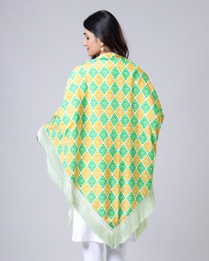 Wrapped in Freedom – Republic Day Edition Shawl