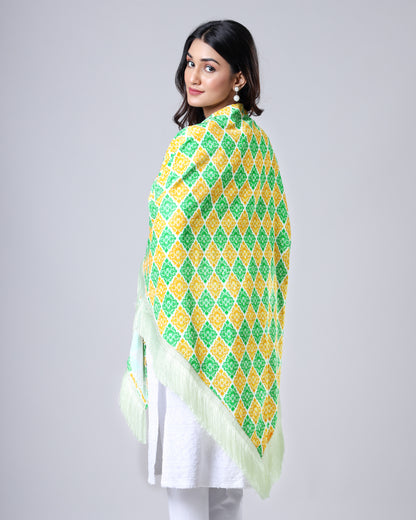 Wrapped in Freedom – Republic Day Edition Shawl