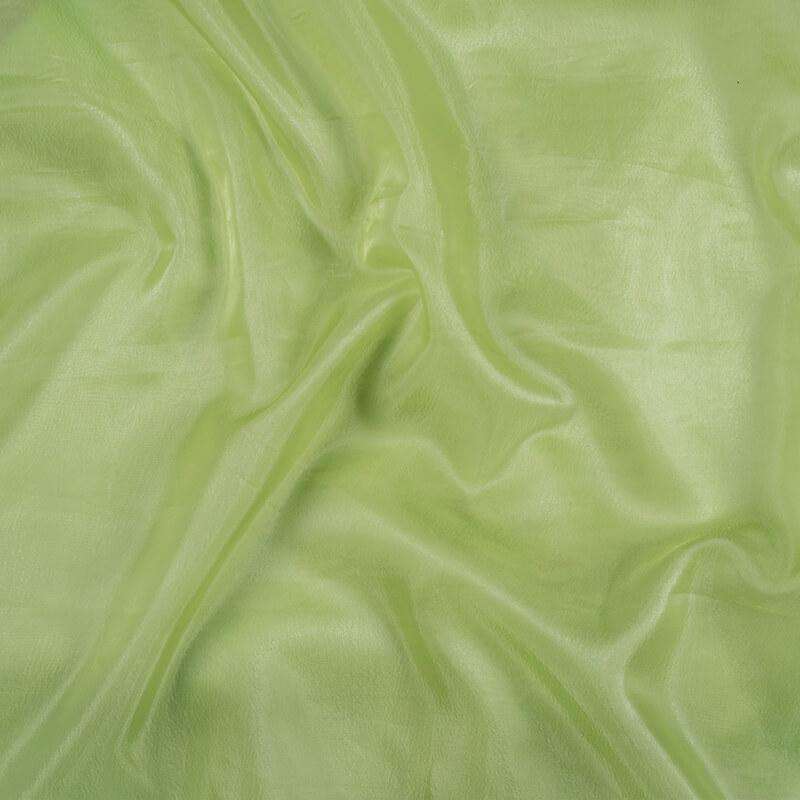 Pastel Green Plain Premium Organza Silk Fabric - Fabcurate