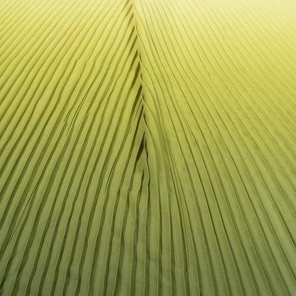 Army Green And Yellow Ombre Pattern Digital Print Georgette Pleated Fabric