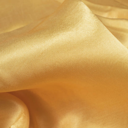 Biscotti Beige Plain Viscose Gaji Silk Fabric