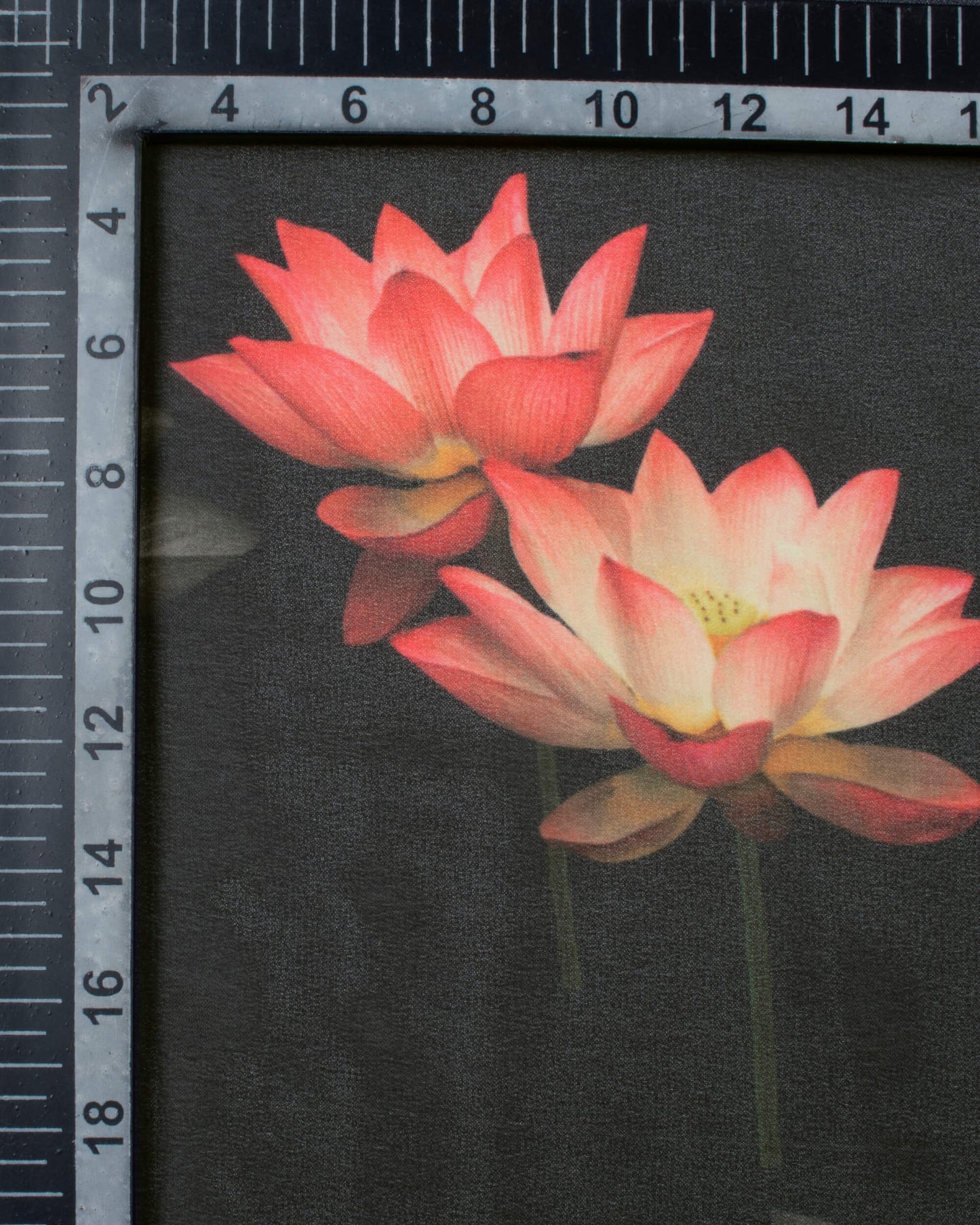 Black And Pink Floral Pattern Digital Print Georgette Scarf